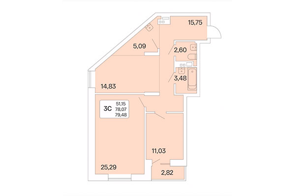 3-комнатная квартира 79,48 м² в Дом на Шамшиных. Планировка
